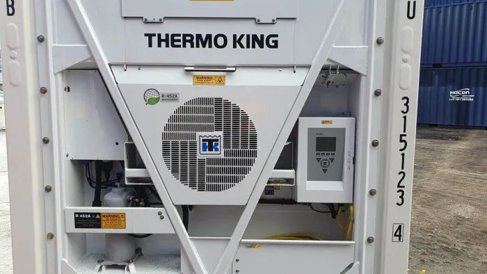 Contenitore refrigerato domestico da 10 piedi