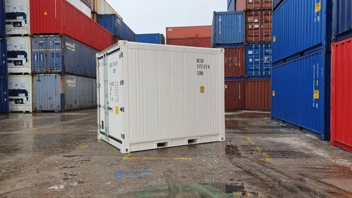 Contenitore refrigerato domestico da 10 piedi